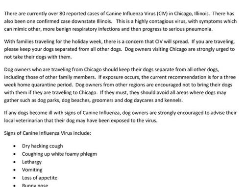 READ THIS IMPORTANT ALERT REGARDING THE RECENT OUTBREAK OF CANINE INFLUENZA!