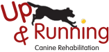 Up & Running Canine Rehabilitation Logo